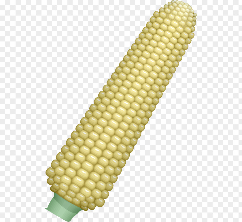 Corn Leaves On The Cob Maize Corncob Ear Clip Art PNG