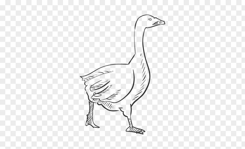 Goose Duck Drawing Ganso Sketch PNG