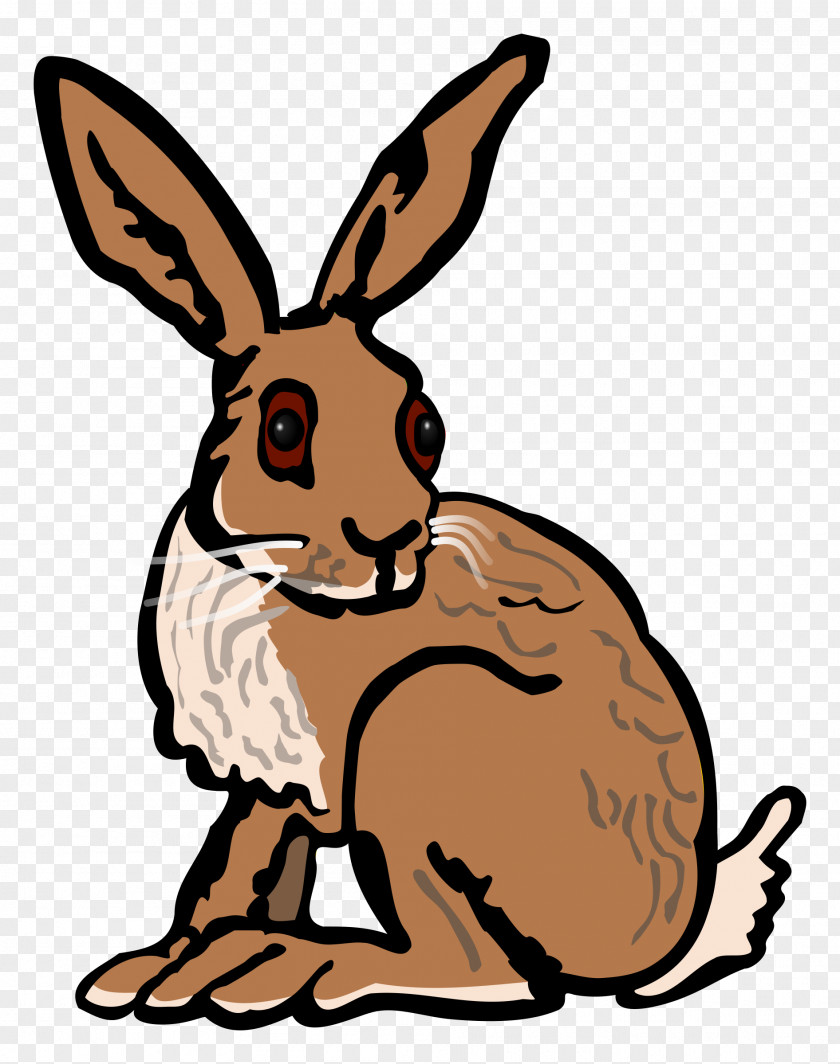 Hare European Arctic The Tortoise And Clip Art PNG