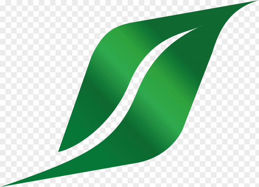 Line Angle Green PNG