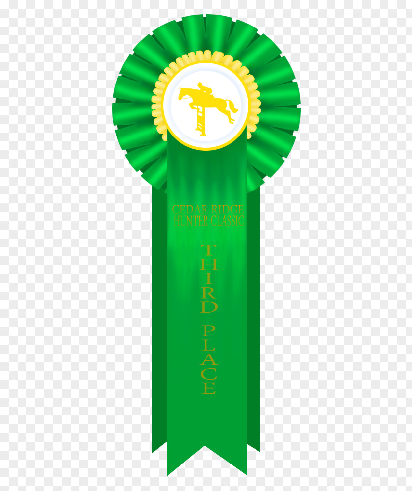 3rd Place Rosette Green Ribbon Award Medal PNG