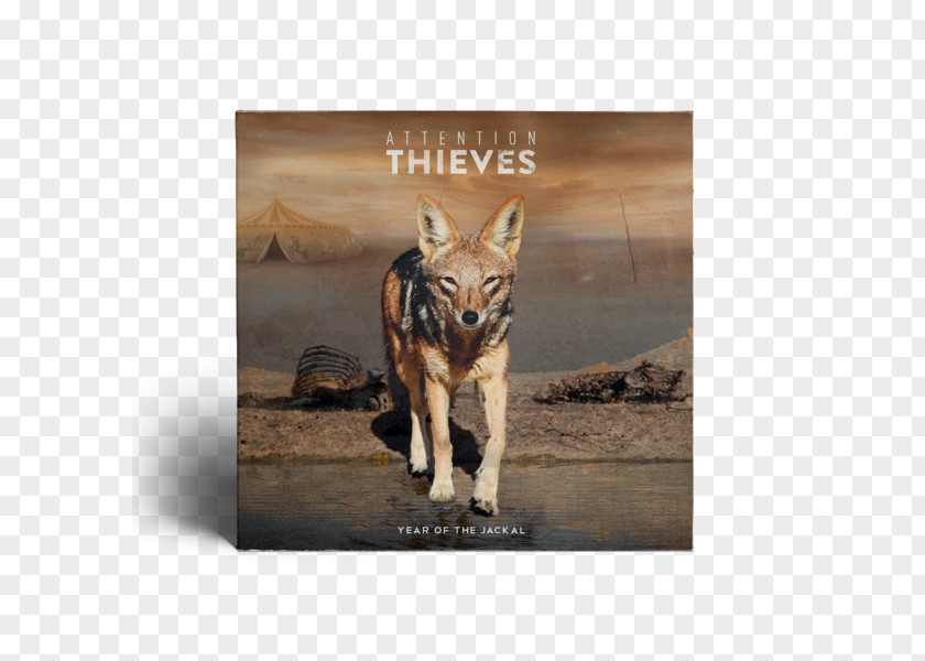 Digital Products Album Attention Thieves The Year Of Jackal If You're Not With Us PNG