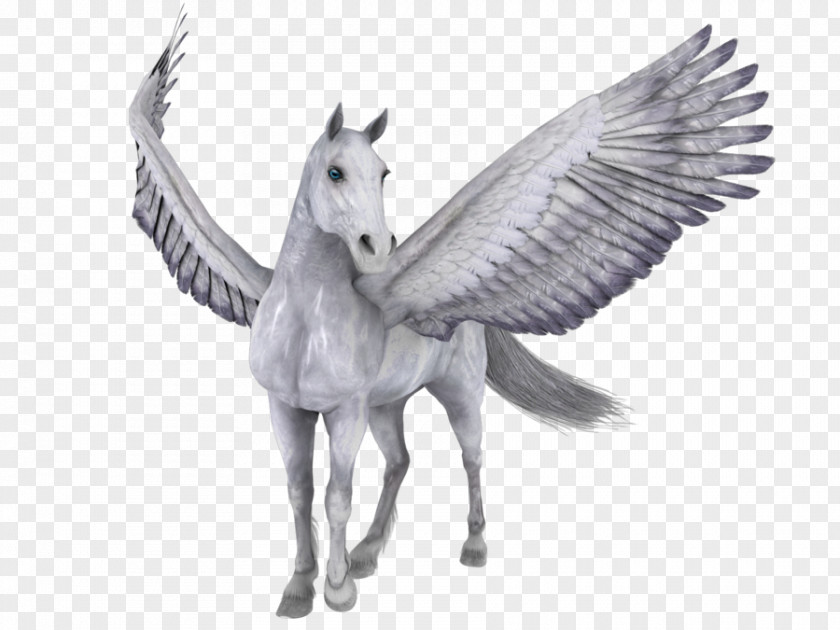 Horse PhotoScape Pegasus Clip Art PNG
