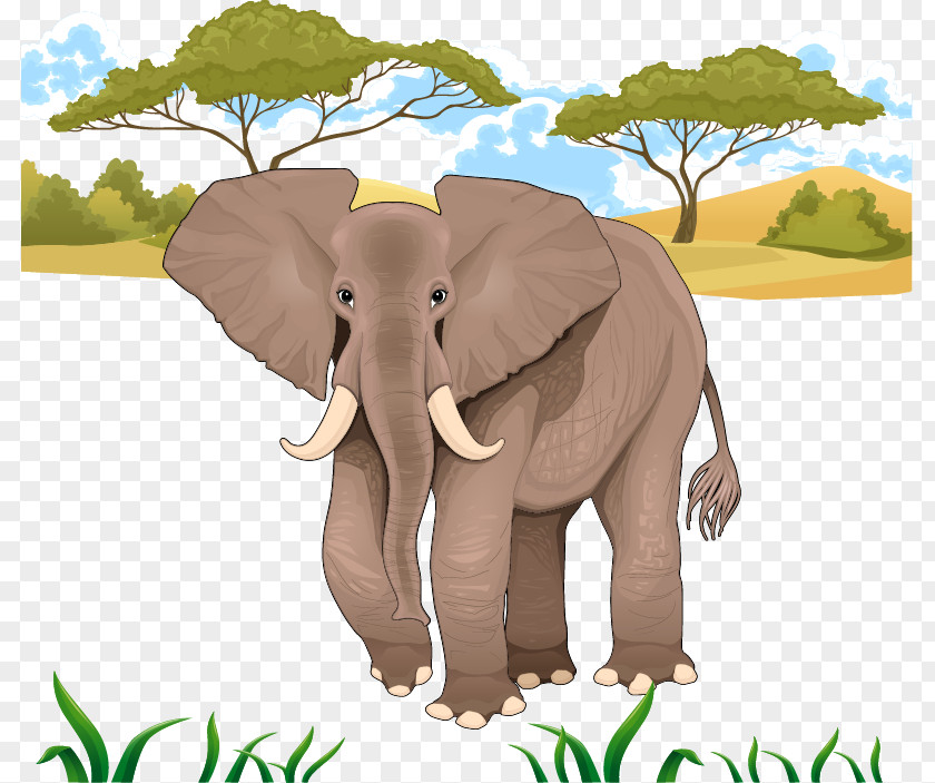 Jungle Elephant African Stock Illustration PNG