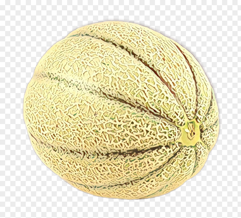 Melon Plant Muskmelon Galia Cantaloupe Honeydew Ball PNG