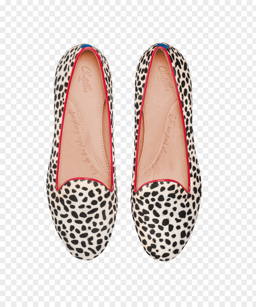 Slipper PNG