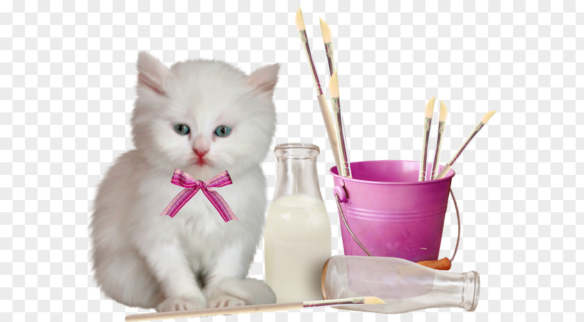 Cute Cat Clip Art PNG