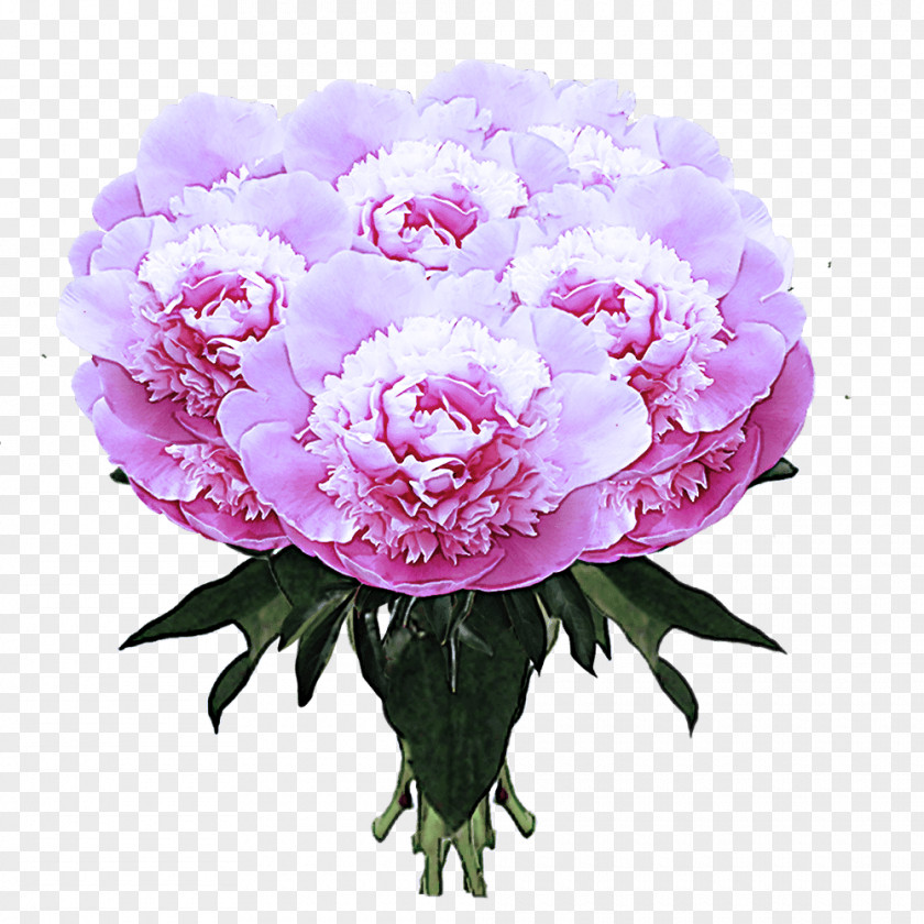 Floral Design PNG