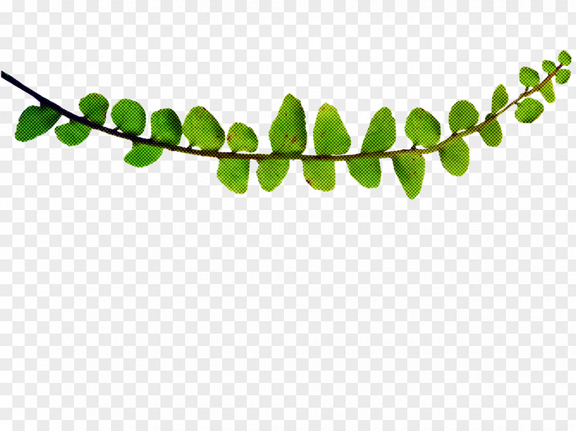 Flower Branch Green Leaf Background PNG