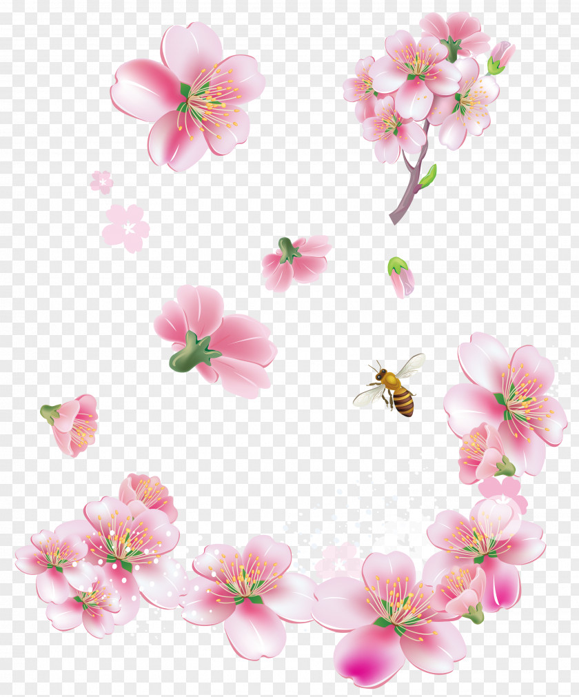 Spring Pink Trees Flowers Clipart Clip Art PNG