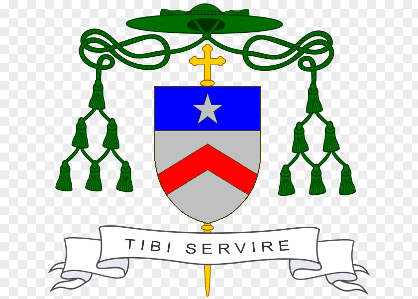 Wiesel Roman Catholic Diocese Of Matagalpa Bayonne, Lescar And Oloron Matagalpa, Nicaragua Agen PNG