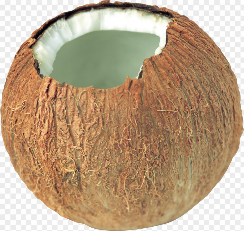 Coconut Image PNG