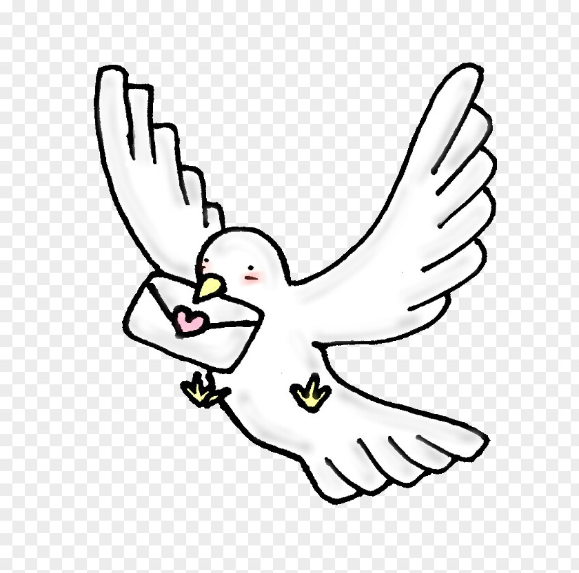 Dove No Typical Pigeons Illustration Homing Pigeon Drawing Clip Art PNG