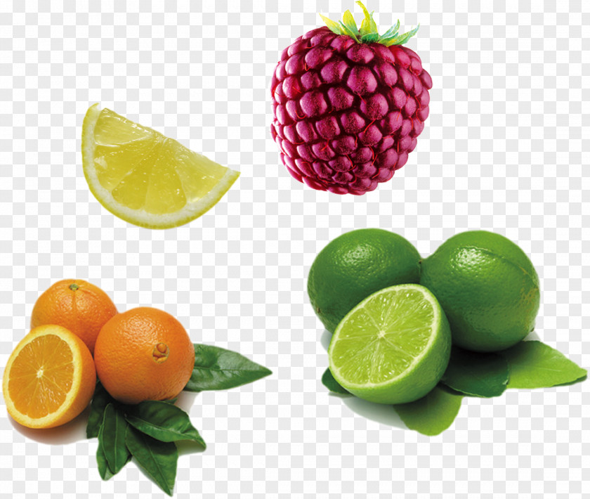 Lemon Material Free Download Orange Juice Tangerine Grapefruit Berry PNG