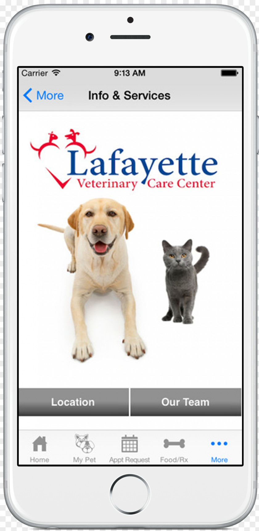 Puppy Dog Breed Lafayette Veterinary Care Center Veterinarian PNG