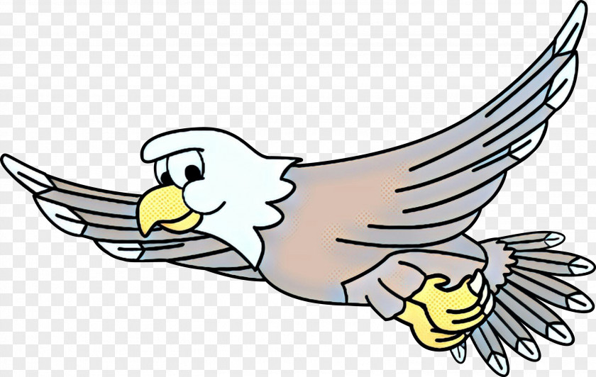 Bald Eagle Bird Wing Cartoon Clip Art Beak PNG