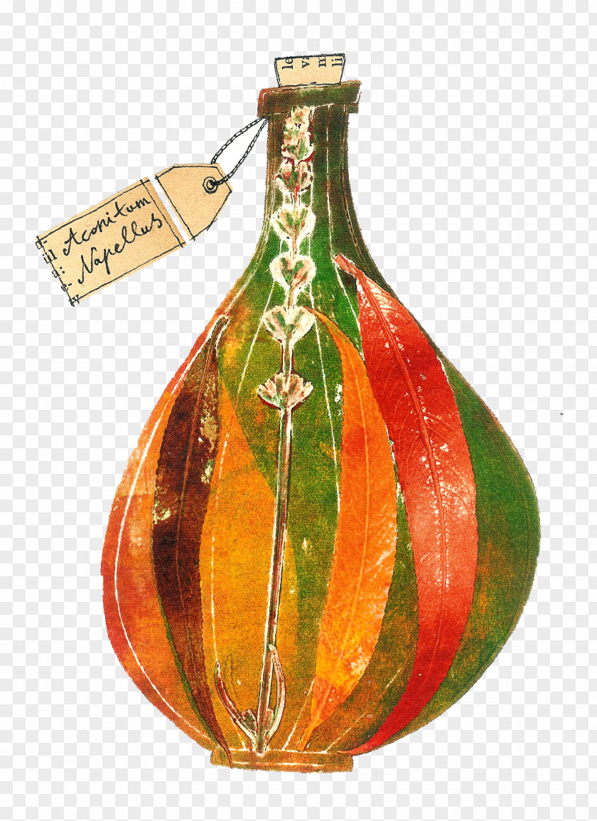 Glass Bottle Fruit PNG