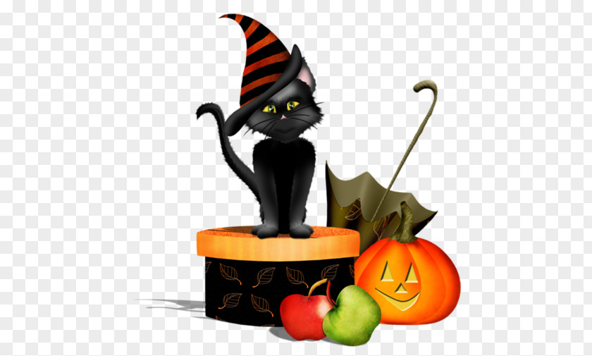Halloween Black Cat Jack-o'-lantern Boszorkány Holiday PNG