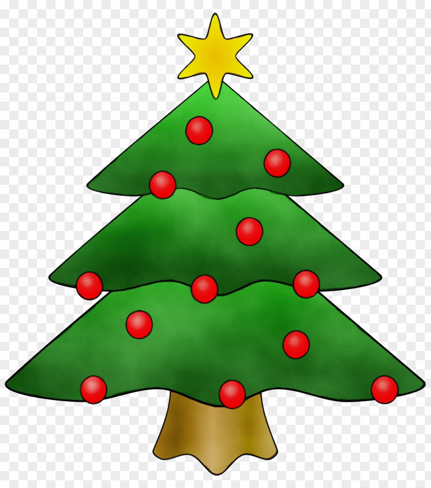 Pine Fir Christmas Tree PNG