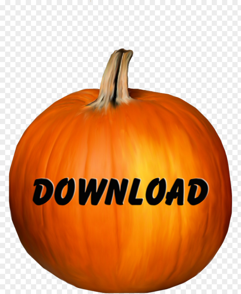 Pumpkin Jack-o'-lantern Calabaza Winter Squash Gourd PNG