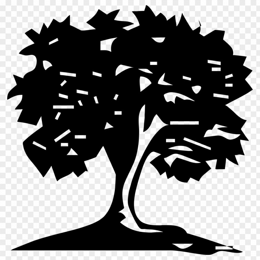 Tree Planting Trunk Evergreen Hedge PNG