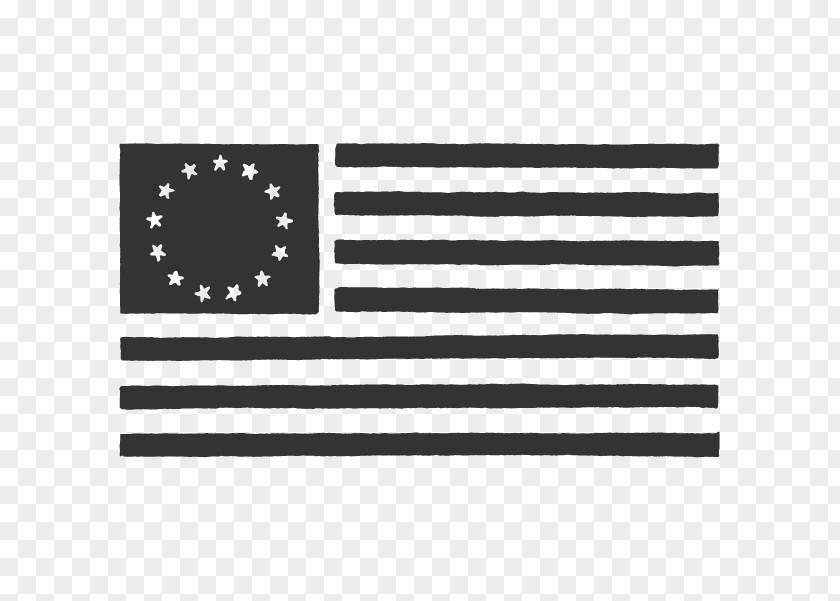 United States Flag Of The White PNG