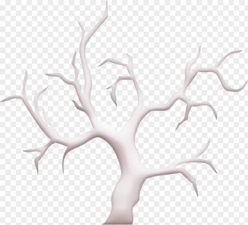 Icon Halloween2013 Leafless Tree PNG