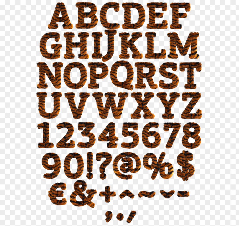 Letter Case Alphabet Font Calligraphy Typeface PNG