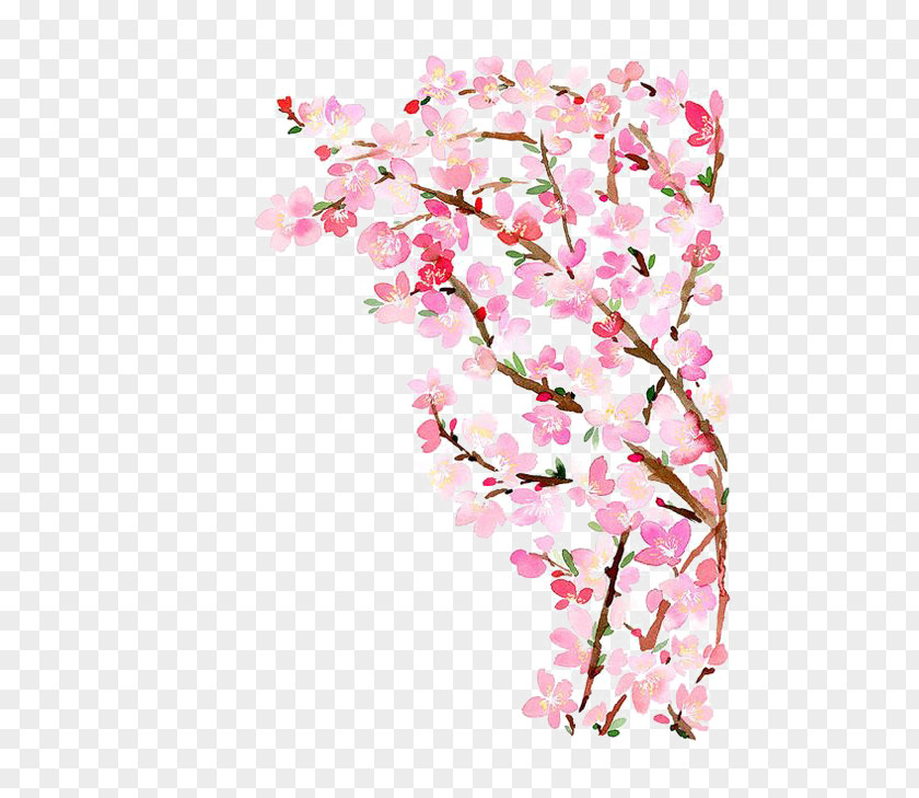 Peach Tree Paper Cherry Blossom Watercolor Painting PNG