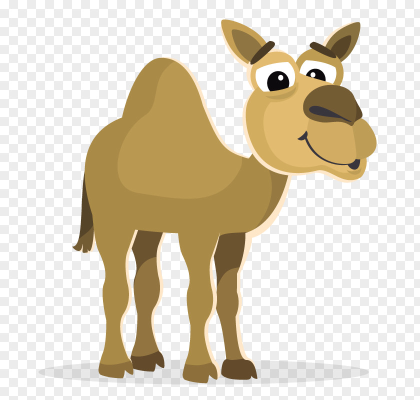 Unimodal Camel Bactrian Cartoon Clip Art PNG