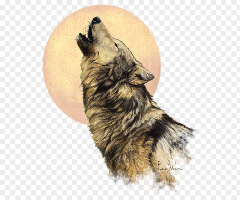 United States The Call Of Wild Painting Drawing Dog PNG