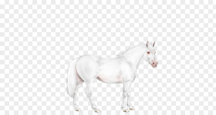White Horses Mustang Stallion Mare Bridle Unicorn PNG