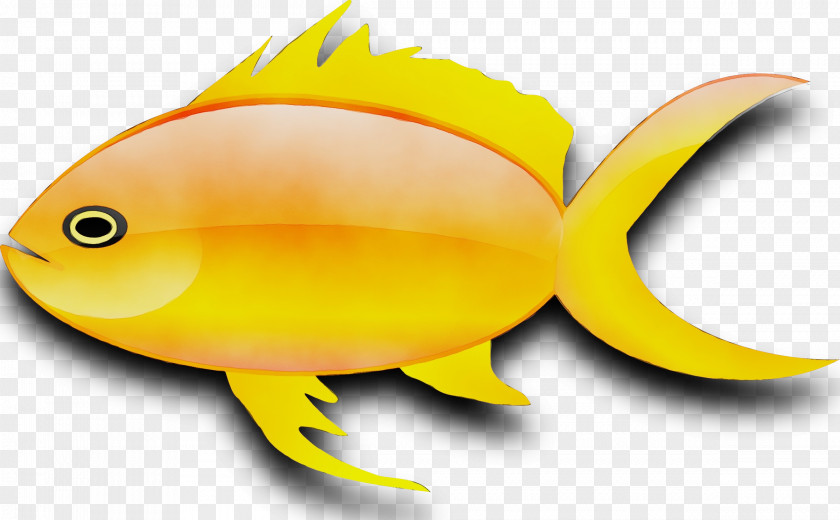 Amphibian Yellow Cartoon Bubbles PNG