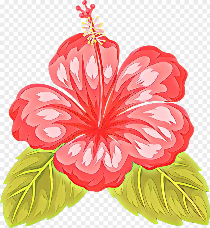 Anthurium Flowering Plant Hibiscus Hawaiian Flower Petal PNG