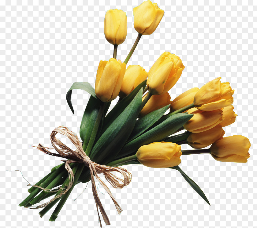 Artificial Flower PNG