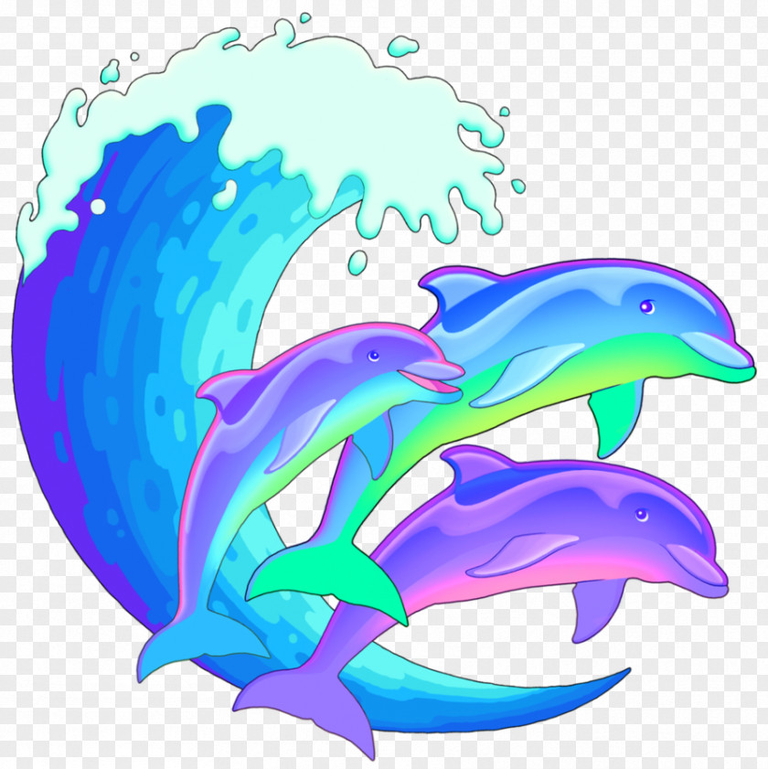 Dolphin Common Bottlenose Clip Art Image Vector Graphics PNG