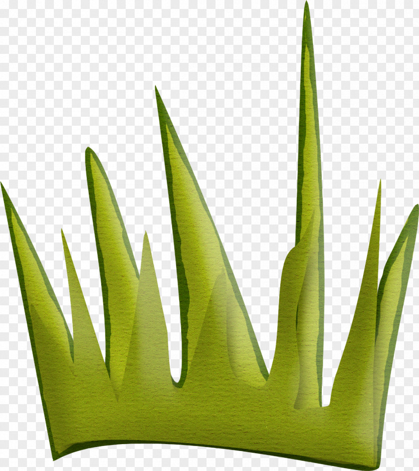 Green Grass PNG