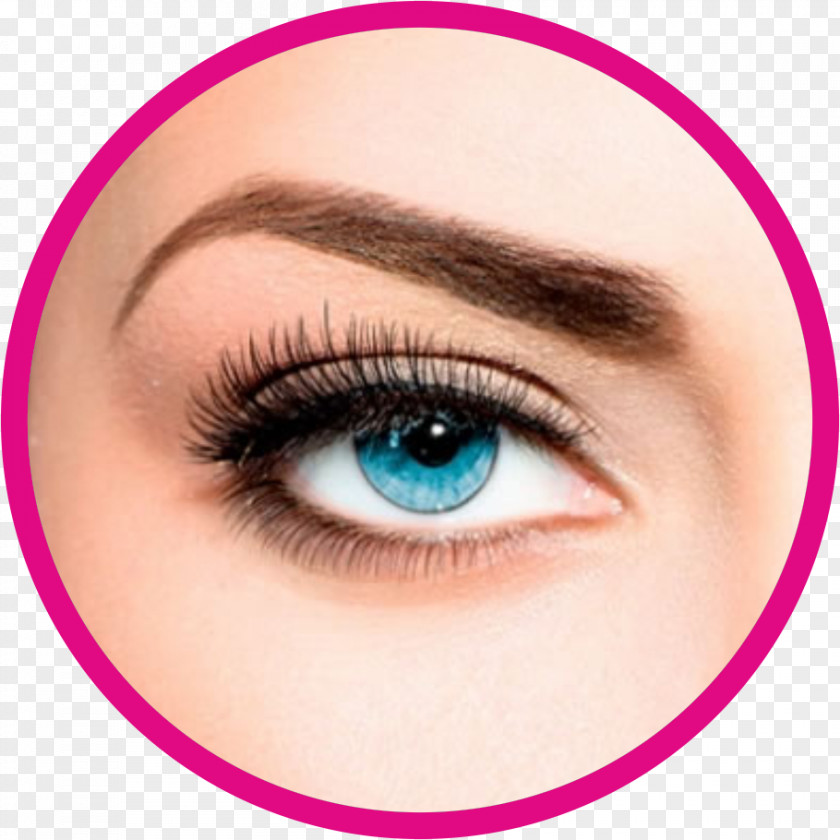 Hair Cosmetics Beauty Parlour Eyelash Extensions Waxing PNG