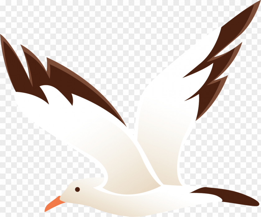 Independent Wild Goose Beak Water Bird Feather Wing PNG