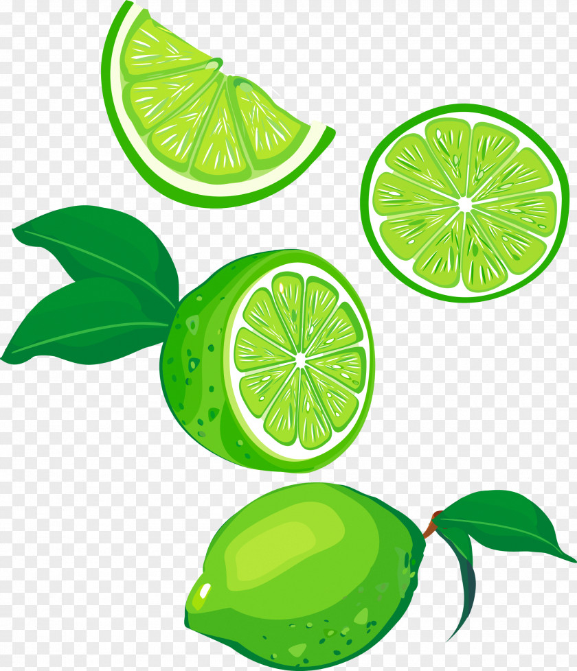 Lemon Lime Fruit Green PNG