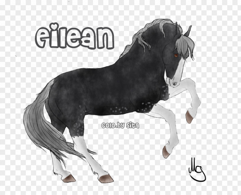 Mustang Dog Breed Stallion Pony PNG