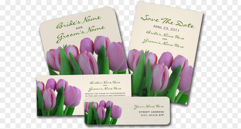 Pink Invitation Tulip Cut Flowers Petal PNG