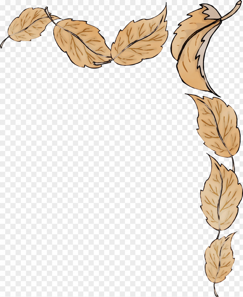 Twig Plant Leaf Watercolor PNG