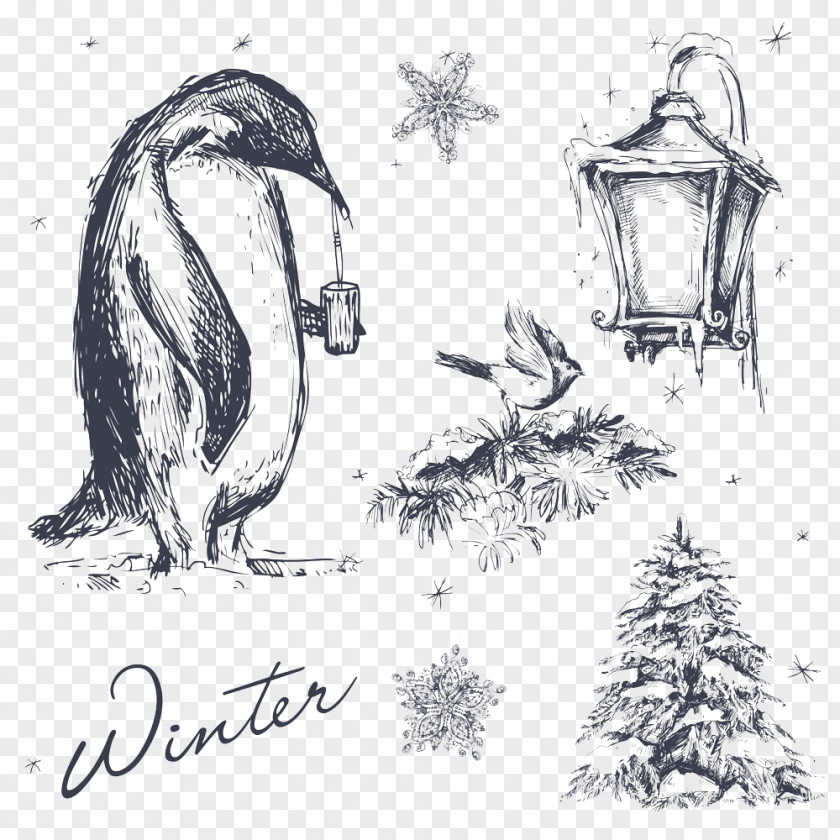 Vector Penguin Visual Arts Illustration PNG