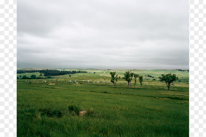 2013 Deutsche Tourenwagen Masters Plant Community Nature Reserve Steppe Grassland Ranch PNG