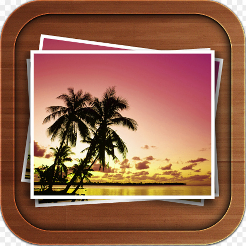 Beach Desktop Wallpaper Sunset Arecaceae Sunrise PNG