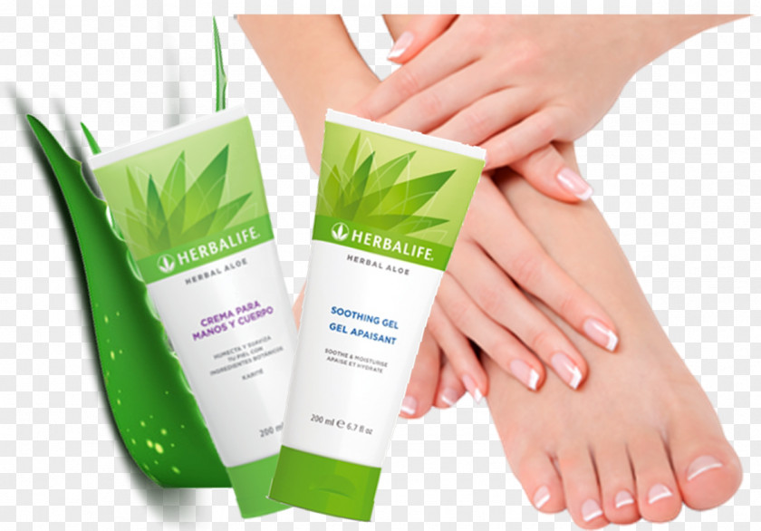 Hand Herbal Center Cream Aloe Vera Skin Humectant PNG