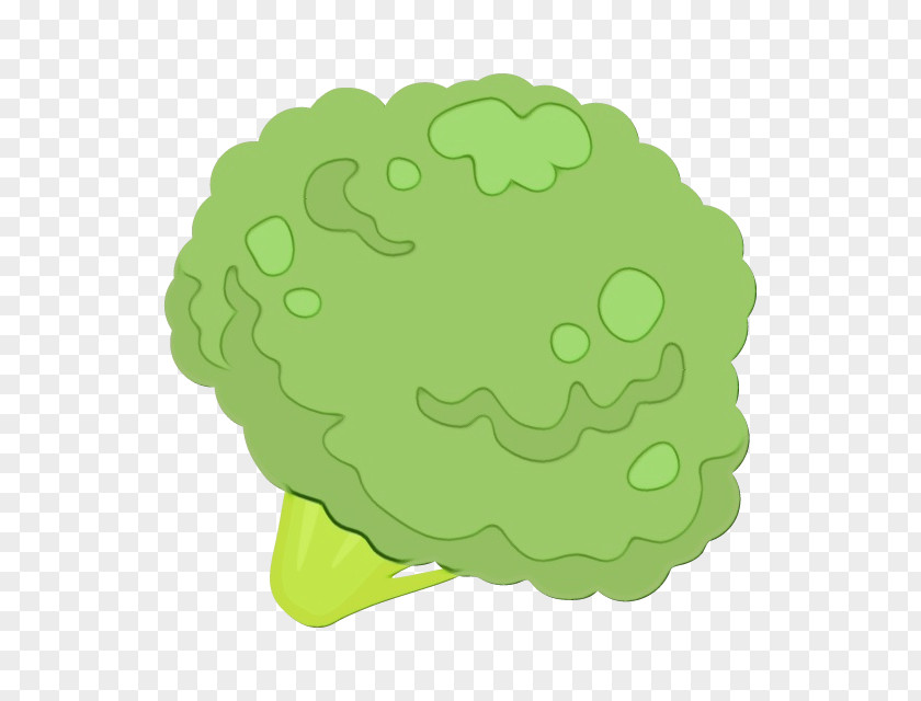 Leaf Vegetable Broccoli Green Background PNG