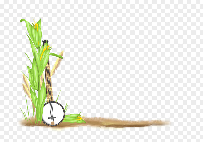 Page Corner Flower Blog Plant Stem PNG