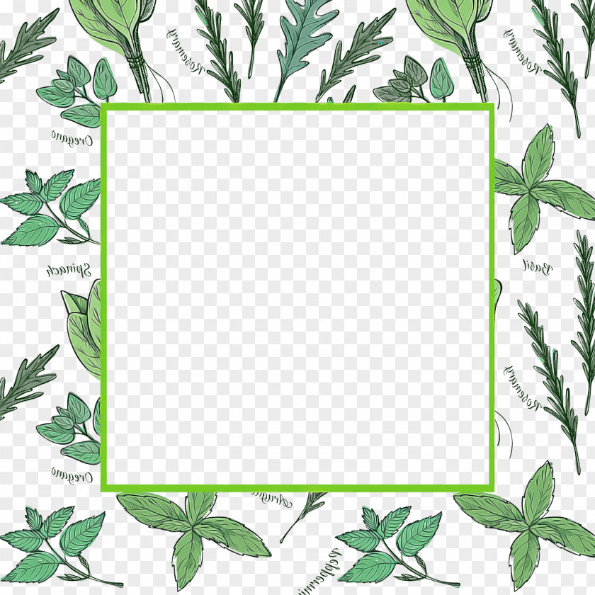 Picture Frame PNG